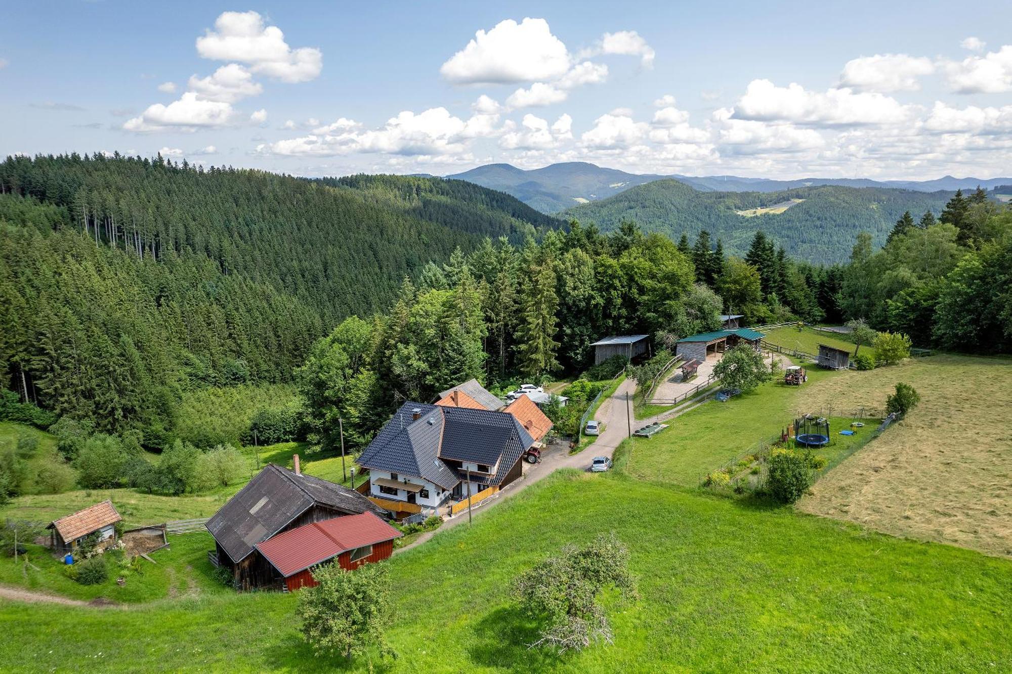 Ferien Auf Der Fleischdielte Muehlenbach Екстер'єр фото