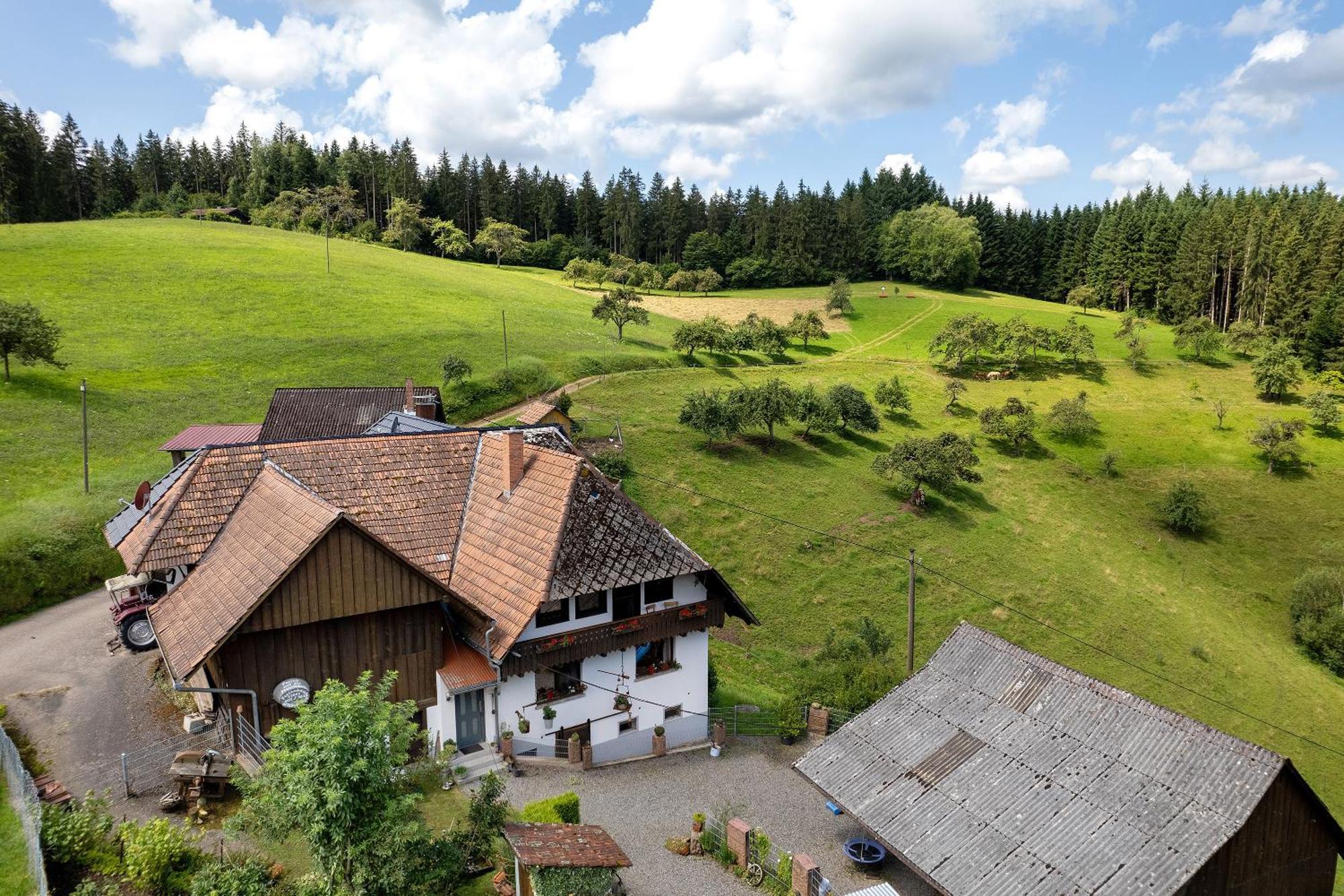 Ferien Auf Der Fleischdielte Muehlenbach Екстер'єр фото